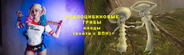 прущий лед Богданович
