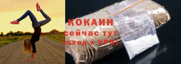 прущий лед Богданович