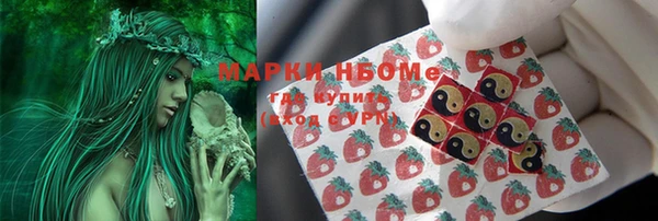 прущий лед Богданович