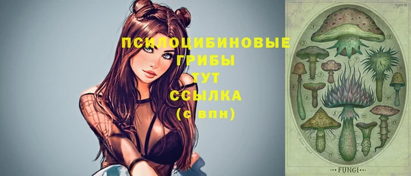мяу мяу мука Богородицк